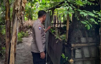 Bhabinkamtibmas Desa Senggigi Dorong Ketahanan Pangan Warga Krandangan