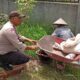 Bhabinkamtibmas Desa Merembu Dorong Ketahanan Pangan Warga Dusun Merembu Barat