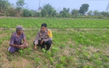 Sinergi Polri dan Warga Kuranji Dorong Desa Mandiri Pangan
