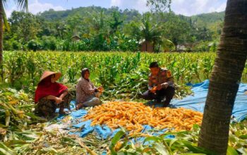 Polri Dorong Program Ketahanan Pangan di Desa Eyat Mayang, Lombok Barat