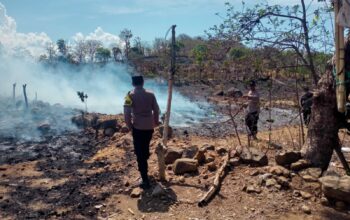 Respon Cepat Polsek Asakota, Personel Datangi Lokasi Kebakaran Lahan Jagung di Kelurahan Kolo