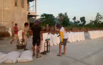 Jagung Petani Gerung Lolos Uji Kualitas, Siap Diserap Bulog NTB