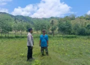 Bhabinkamtibmas Jadi Motor Ketahanan Pangan di Sekotong Barat