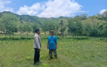 Bhabinkamtibmas Jadi Motor Ketahanan Pangan di Sekotong Barat