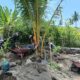Babinsa Dampingi Pembangunan Drainase, Warga Labuhan Poh Barat Antusias