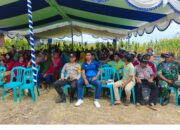 BHABINKAMTIBMAS DESA MBUJU POLSEK KILO POLRES DOMPU HADIRI ACARA PANEN RAYA JAGUNG DAN PERKENALAN PRODUK BIBIT BARU DARI PT ADVANTA