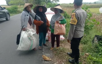 Peran Polisi di Balik Panen Jagung Sukses Petani Lombok Barat