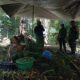 Kolaborasi Babinsa dan Kehutanan Jaga Kelestarian Hutan Batulayar