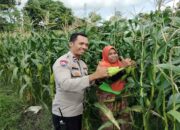 Sinergi Polri dan Warga Labuapi Wujudkan Kemandirian Pangan Keluarga