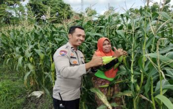Polsek Labuapi Ajak Warga Optimalkan Pekarangan Demi Ketahanan Pangan