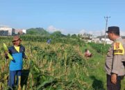 Polri Dukung Ketahanan Pangan, Bhabinkamtibmas Labuapi Edukasi Warga Manfaatkan Lahan Kosong