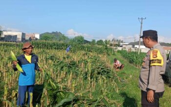 Polri Dukung Ketahanan Pangan, Bhabinkamtibmas Labuapi Edukasi Warga Manfaatkan Lahan Kosong