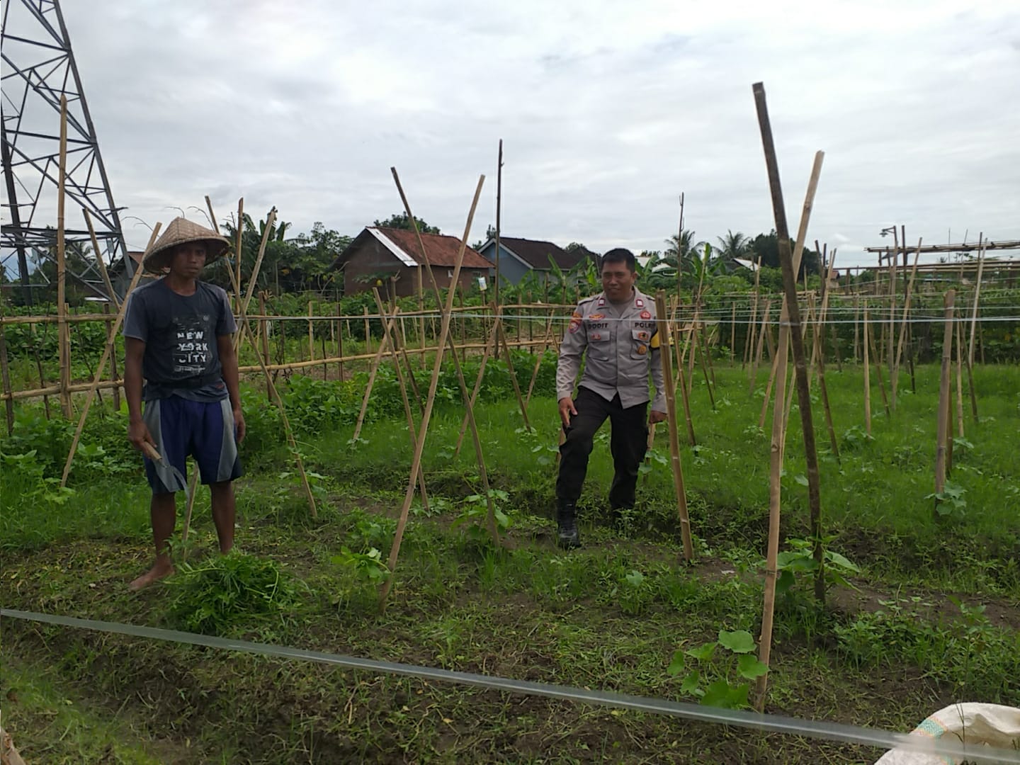 Sinergi Polri dan Petani Jagaraga Wujudkan Kemandirian Pangan