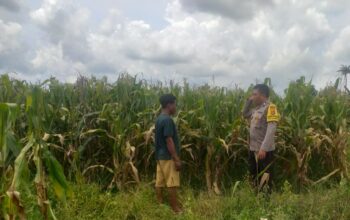 Bhabinkamtibmas Dorong Warga Jagaraga Manfaatkan Lahan Kosong