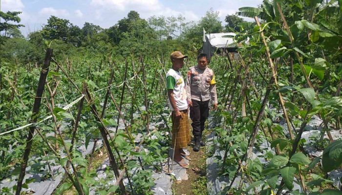 Bhabinkamtibmas Lombok Barat Dorong Warga Manfaatkan Pekarangan Jadi Lumbung Pangan