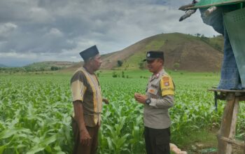 Bripka Heri Laksanakan Pemantauan Lahan untuk Perkuat Ketahanan Pangan Masyarakat