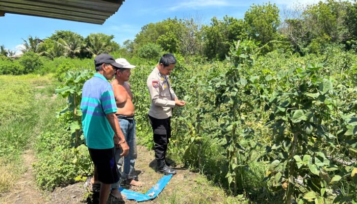perkuat kolaborasi demi terwujudnya ketahanan pangan
