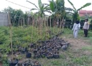 Bhabinkamtibmas Meninting Dorong Optimalisasi Lahan Pekarangan Rumah