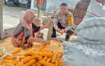 Bhabinkamtibmas Lombok Barat Dukung Distribusi Jagung ke Bulog