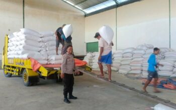 Jaga Stabilitas Pangan, Polsek Gerung Dampingi Penjualan Jagung