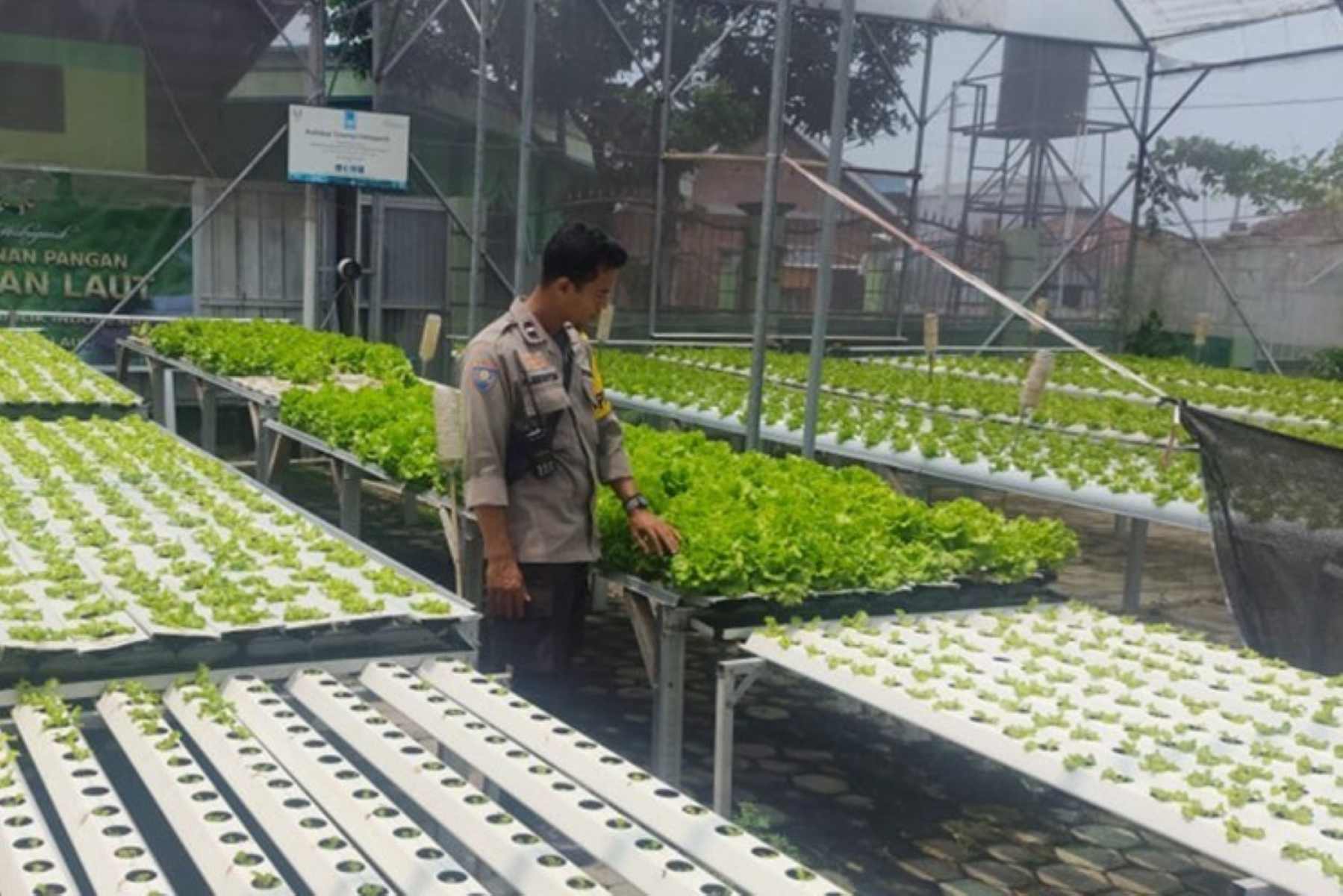 Aksi Nyata Bhabinkamtibmas Lombok Barat Dukung Ketahanan Pangan