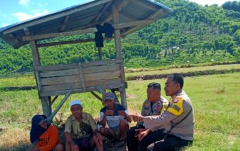 Bhabinkamtibmas Polres Bima Kota Laksanakan Jum’at Curhat, Sambangi Warga di Area Persawahan Penaraga
