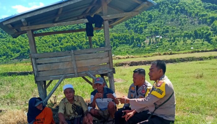 Bhabinkamtibmas Polres Bima Kota Laksanakan Jum’at Curhat, Sambangi Warga di Area Persawahan Penaraga