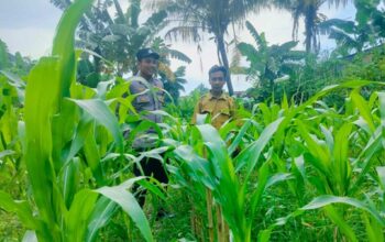 Polsek Labuapi Dorong Kemandirian Pangan di Desa Bajur