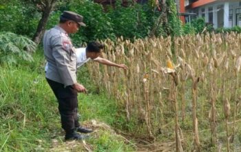 Polres Lombok Barat Kawal Ketahanan Pangan di Kebon Ayu