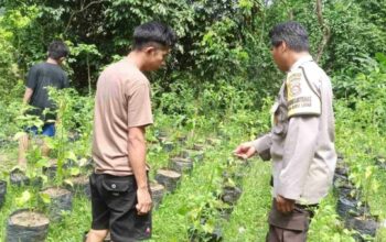 Strategi Polsek Batulayar Tekan Inflasi Melalui Lahan Desa