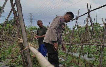 Bhabinkamtibmas Kuranji Dalang Edukasi Pertanian Warga