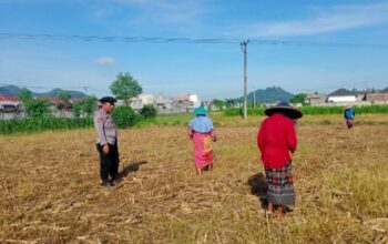 Polri Dampingi Petani Merembu Kelola Lahan Palawija