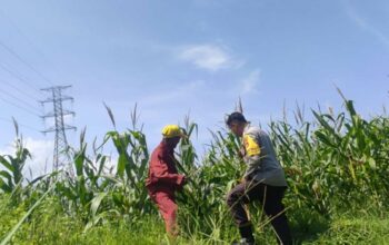 Bhabinkamtibmas Kuranji Dalang Motivasi Petani Lokal