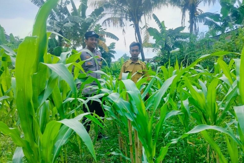 Langkah Proaktif Polsek Labuapi Dukung Kemandirian Pangan