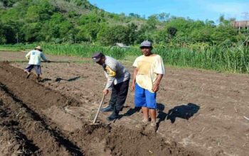 Polsek Gerung Pantau Ketahanan Pangan di Dusun Gumesa Utara Lobar