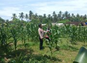 Polri Motivasi Petani Sekotong Barat Optimalkan Lahan Pertanian