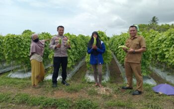 Dukung Ketahanan Pangan, Bhabinkamtibmas Desa Tatar Tinjau Pemanpaatan Lahan Produktif Warga bersama Pemerintah Desa