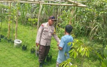 Dukung Ketahanan Pangan, Polsek Batulayar Motivasi Petani Lokal