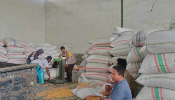 Polsek Gerung Pantau Stok Jagung di Desa Beleka Lombok Barat