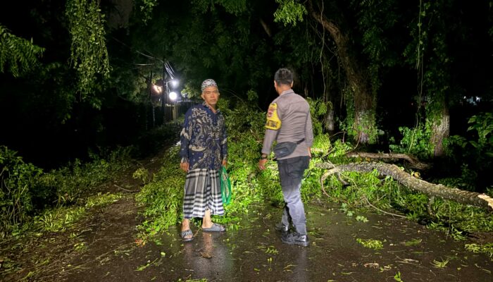 Bhabinkamtibmas Desa Pasir Putih Cek Rumah Warga Terdampak Pohon Tumbang Akibat Cuaca Ekstrem