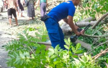 Personel Ditpolairud Polda NTB Bantu Warga Singkirkan Pohon Tumbang di Lombok Barat
