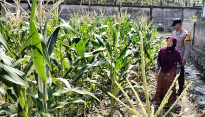 Polri Dorong Ketahanan Pangan di Labuapi Lombok Barat