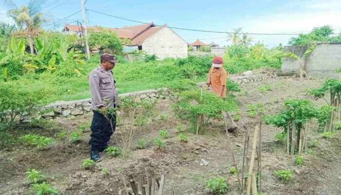 Polri Dampingi Warga Dusun Bantir Budidaya Palawija di Pekarangan