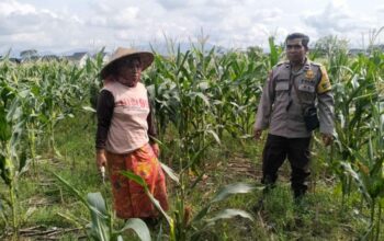 Polres Lombok Barat Kawal Program Kemandirian Pangan di Labuapi