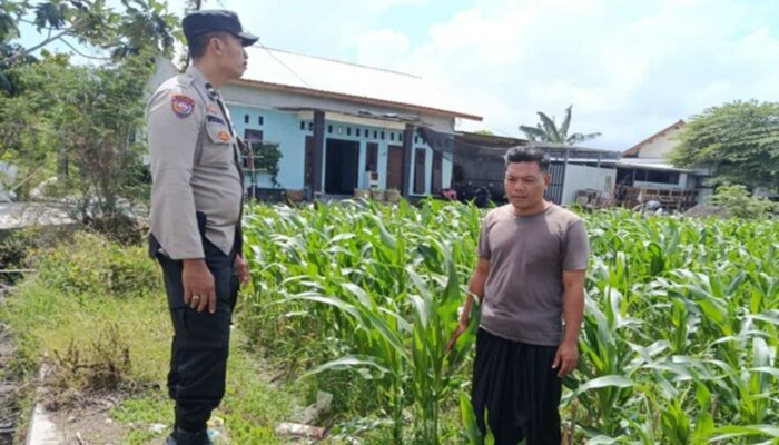 Bhabinkamtibmas Labuapi Ajak Warga Sulap Lahan Tidur