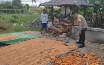 Langkah Polsek Labuapi Optimalkan Lahan Produktif di Kuranji Dalang
