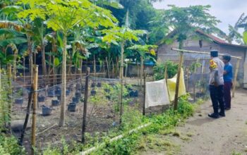 Dukung Program Presiden, Polsek Labuapi Masifkan Ketahanan Pangan