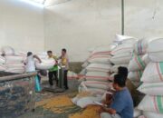 Bhabinkamtibmas Kawal Produktivitas Petani di Mendagi