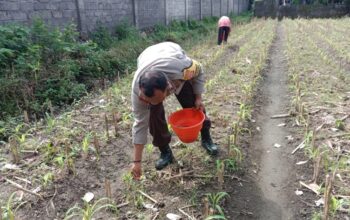 Strategi Polsek Labuapi Optimalkan Lahan Tidur di Jogot