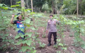 Strategi Bhabinkamtibmas Batulayar Optimalkan Lahan Pekarangan